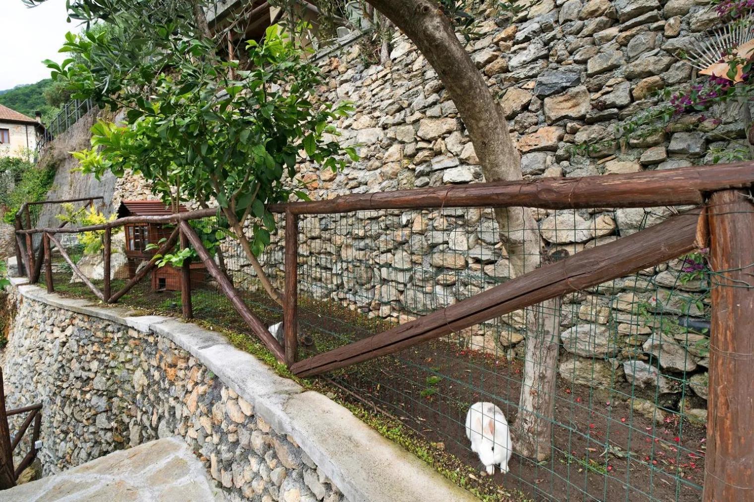 Agriturismo U'Spigu Nonna Annetta Nasino Exterior foto